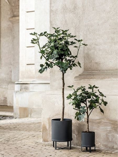 velike tegle za cvijeće