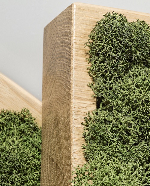 Amsterdam hygrometer