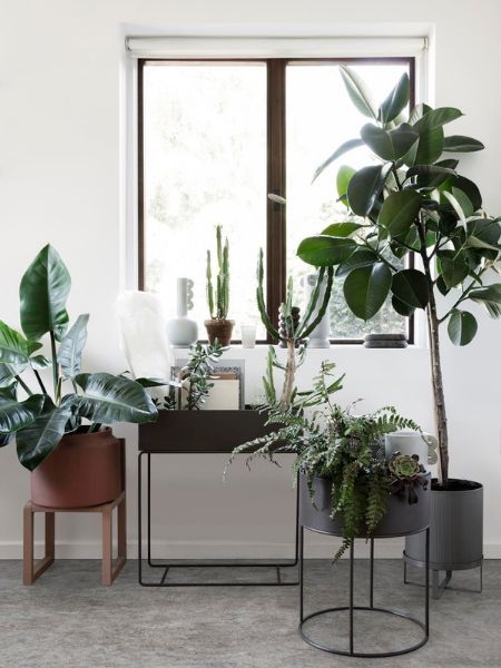 stalci i tegle za biljke