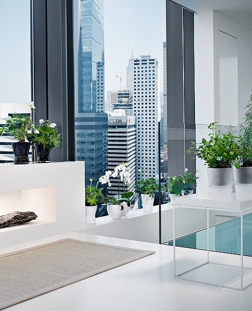 Pot d'orchidée à arrosage automatique