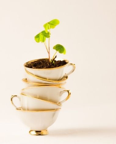 retro šalice zelenog čaja