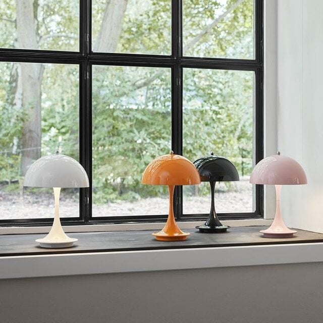 champignons sur la fenêtre