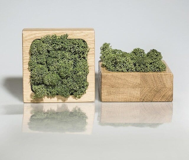 Amsterdam higrometar