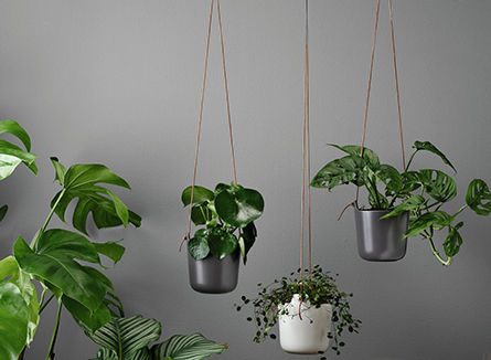 Le design s'invite dans la forêt - inspirations forestières dans votre maison