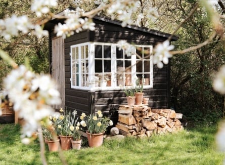 Bergs Potter – Töpfe, in denen Blumen wunderschön blühen