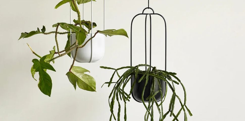 Jardinières suspendues - Comment choisir le modèle parfait