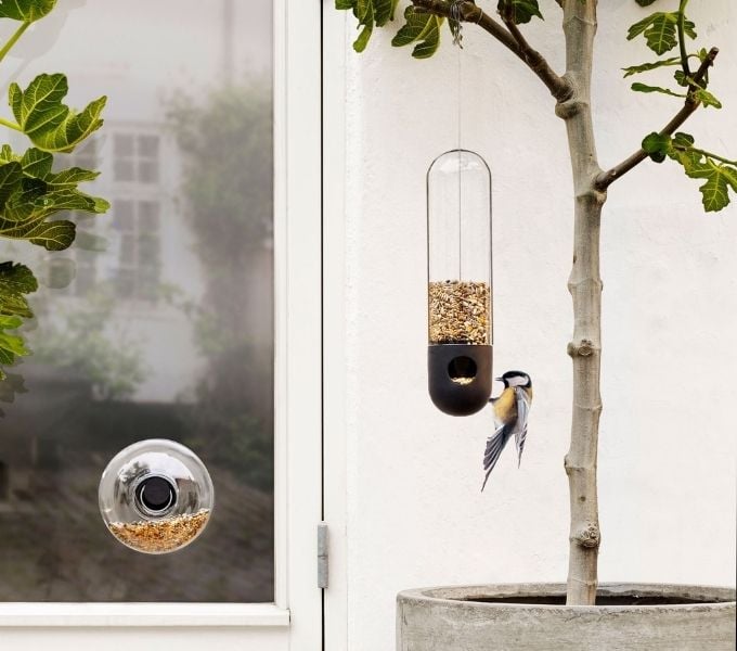 staklena hranilica za ptice