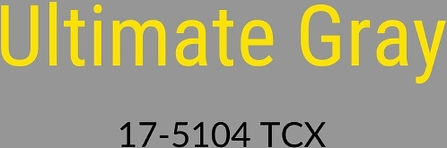 boja godine 2021 pantone ultimate gray