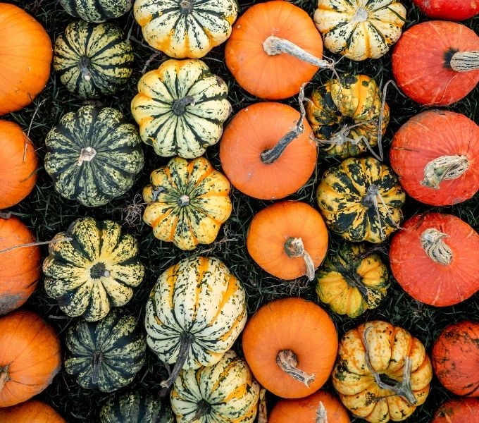 obojena juha od bundeve juha krema vegetarijanska