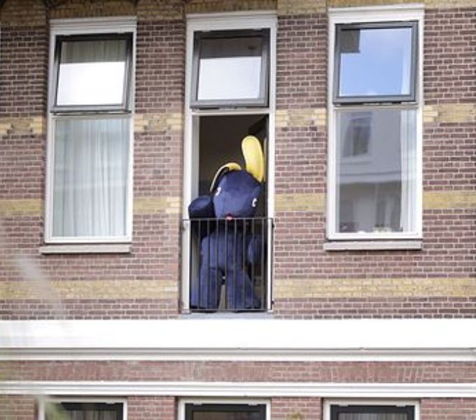 παράθυρο λαγού