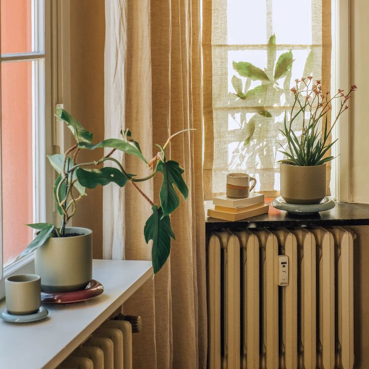 Fleurs dans des pots décoratifs Lily sur un rebord de fenêtre ensoleillé