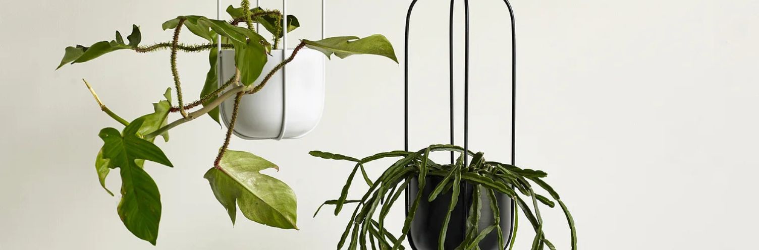 Jardinières suspendues - Comment choisir le modèle parfait