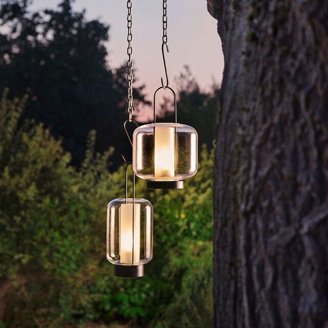 farolillos en un árbol