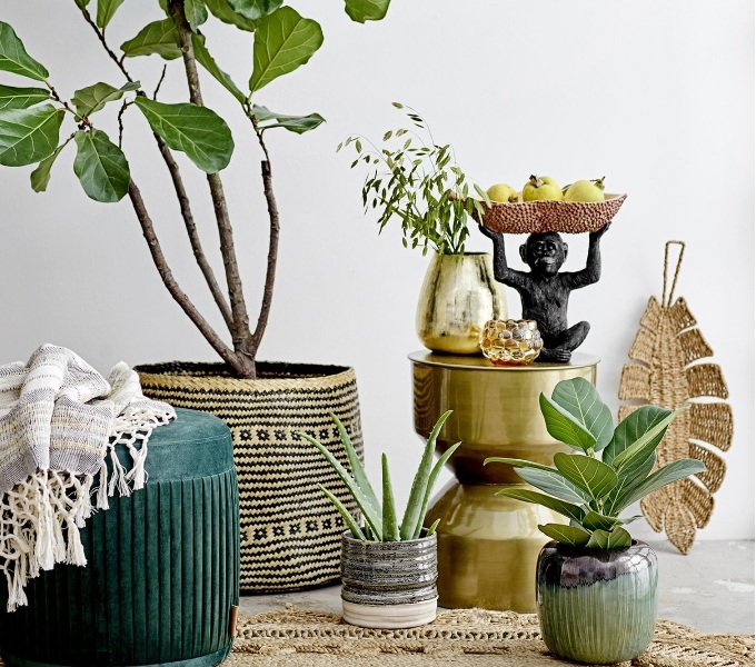 crni majmun Bloomingville