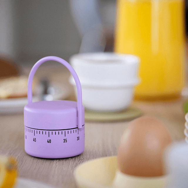 Temporizador Zone Denmark