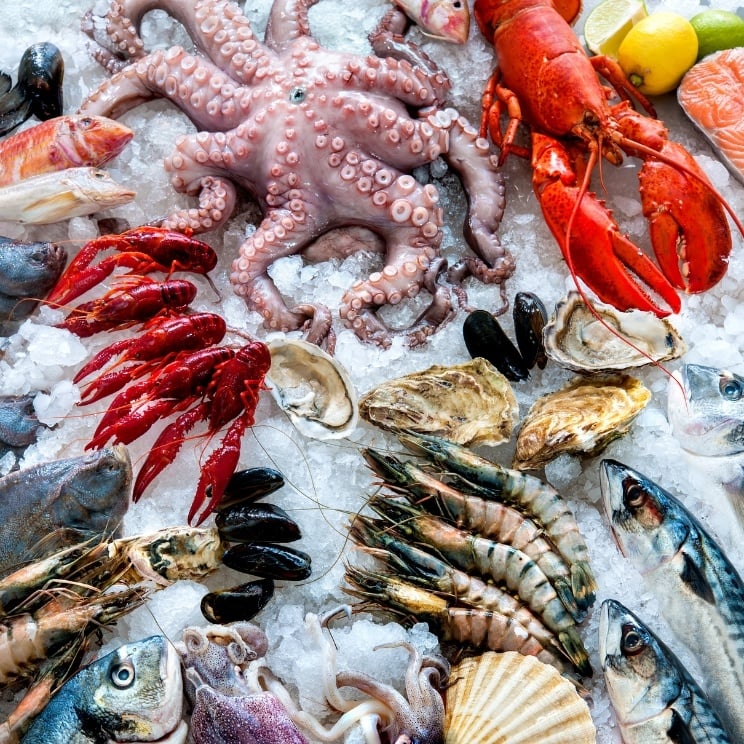 fruits de mer