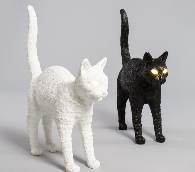 ένα ζευγάρι γατάκια