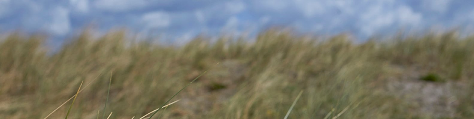 Sonne, Strand, Berge... und Erholung. Urlaubszubehör mit Rabatt!