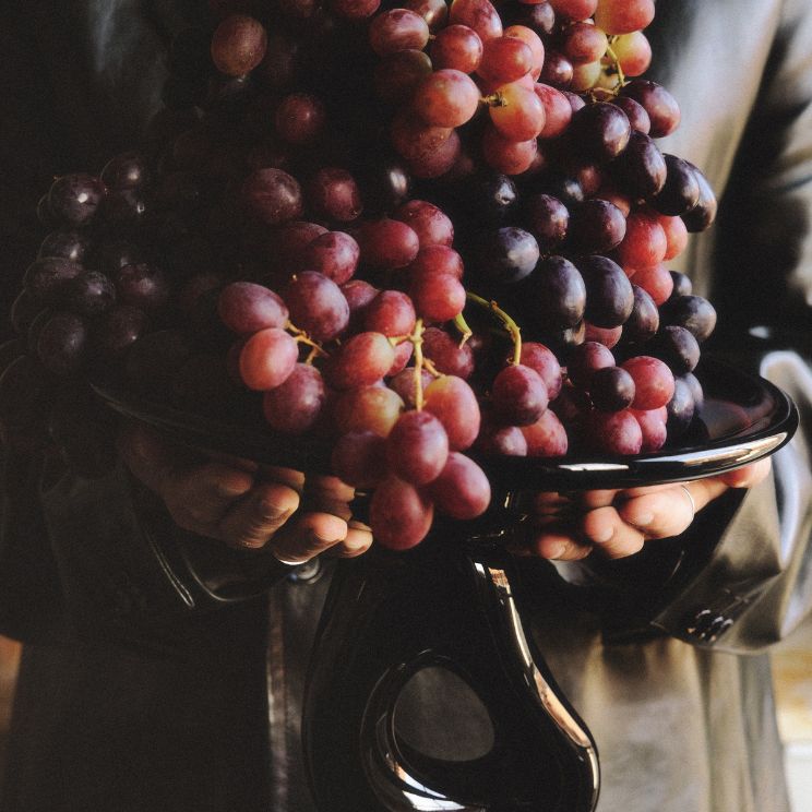 Bandeja Damo con uvas