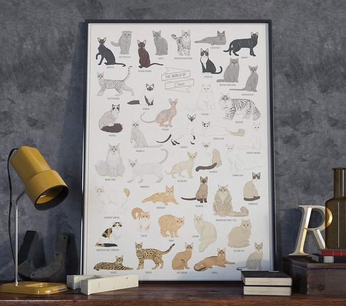 Die Welt der Katzen Poster Follygraph