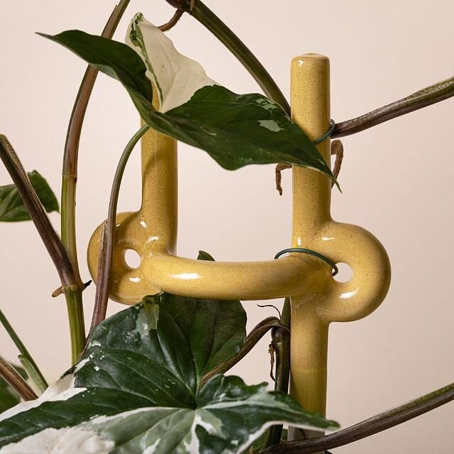 Support de plante Folk avec Monstera enroulé autour