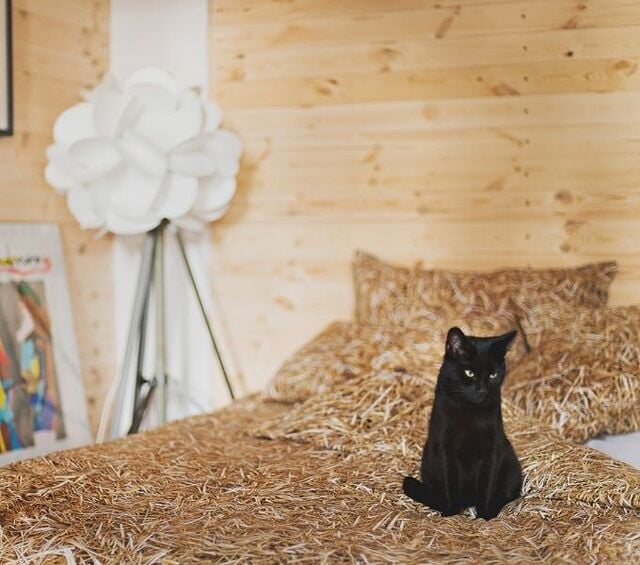 μικρό τετράγωνο μαξιλάρι