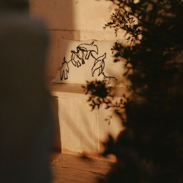 μαξιλαροθήκη vuelo