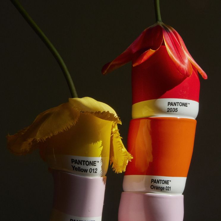 gave til ham: pantone farvede krus