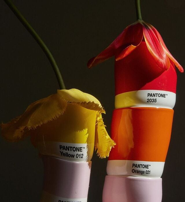 gave til ham: pantone farvede krus