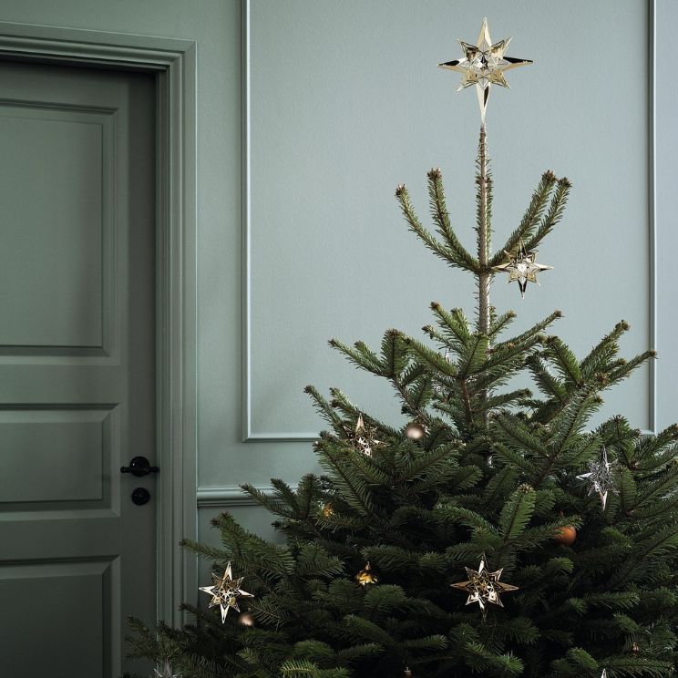 poklon od 80 


: Božićno drvce za blagdane