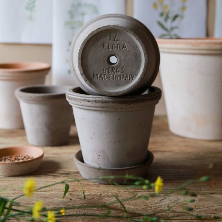 Discover that a pot with holes is a good choice for your plant