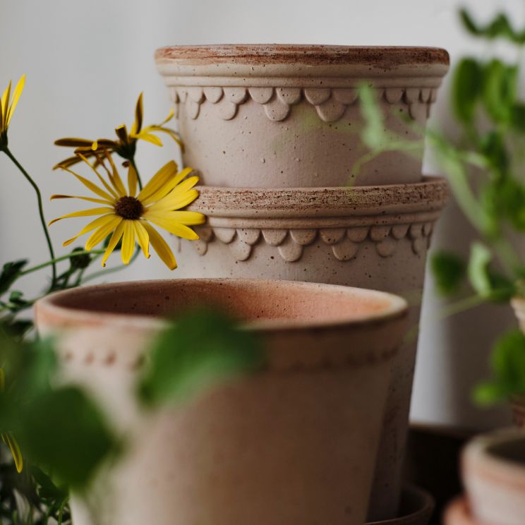 Lyserøde terrakottakrukker Bergs Potter