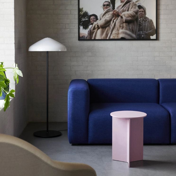 roza Hay klubska mizica