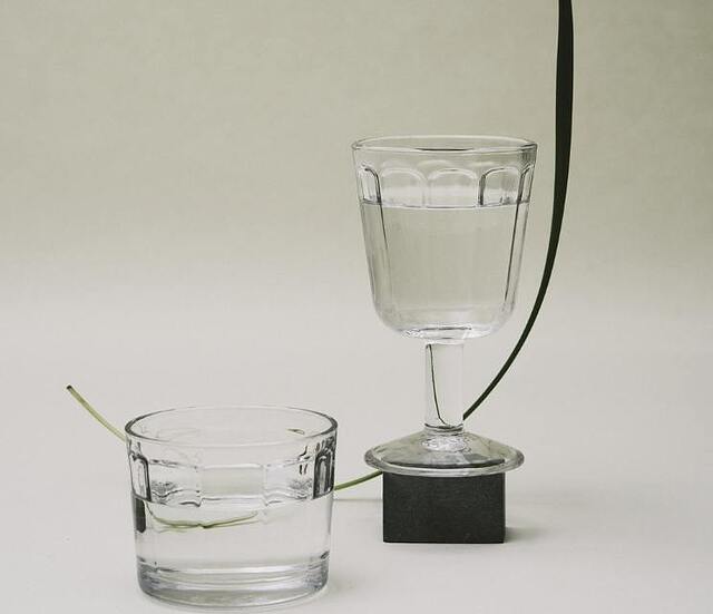 serax: koju čašu za vino odabrati?