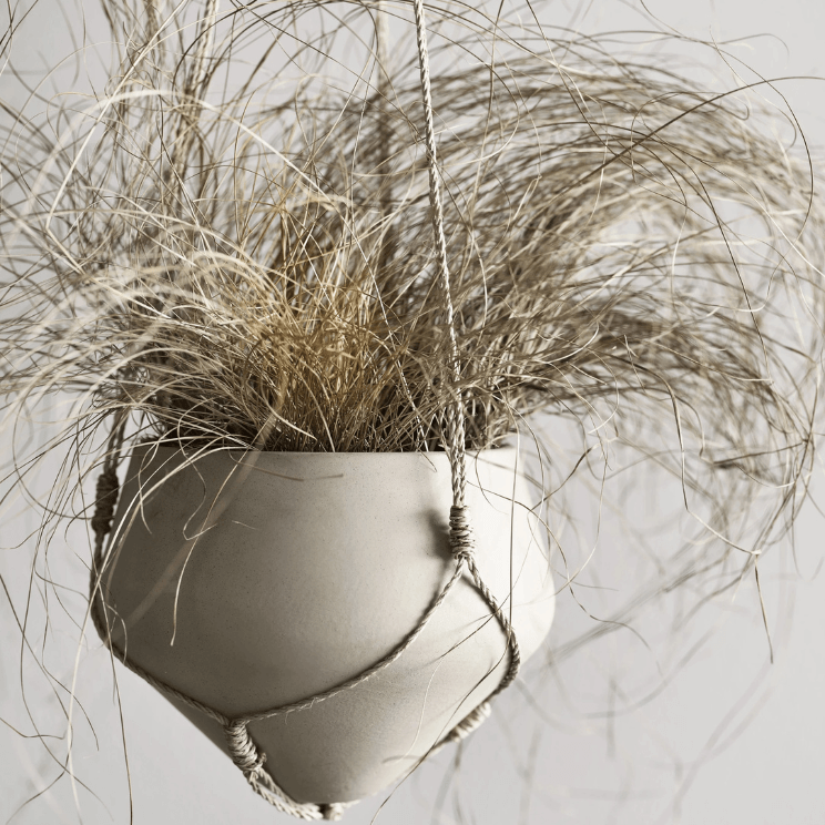 Fleurs séchées dans un pot suspendu