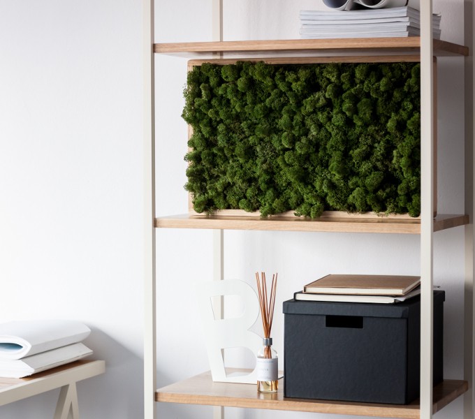 trends 2018 borcas moss