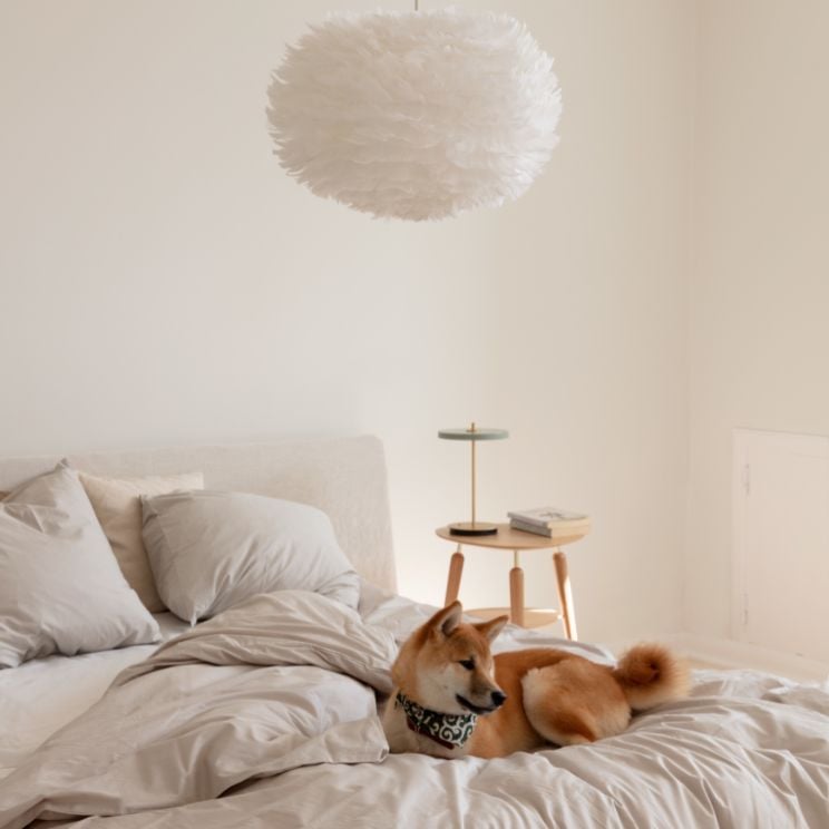 v tej spalnici se vsak prebivalec hiše dobro počuti