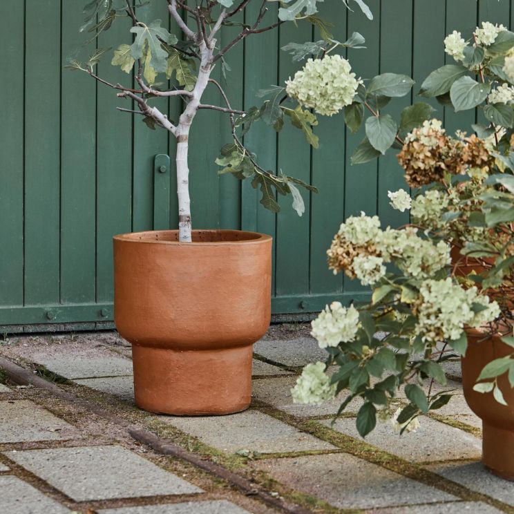 In this guide, you'll find answers to all your questions about drainage holes, decorative cachepots