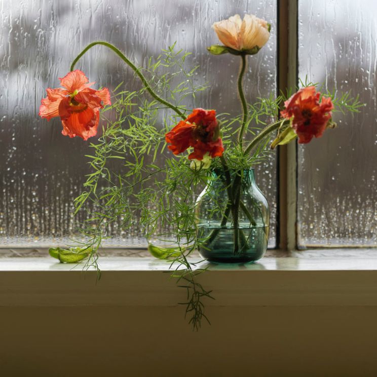 jarrón modelo muuto silent