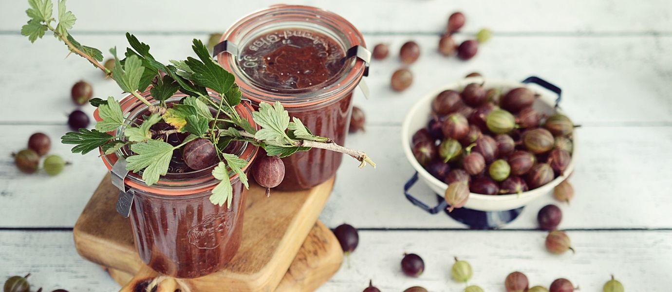 Stachelbeerwochen Stachelbeermarmelade Pasteurisierung von Weckgläsern