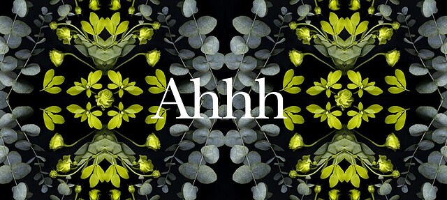 Αρώματα σπιτιού Alessi Ahhh