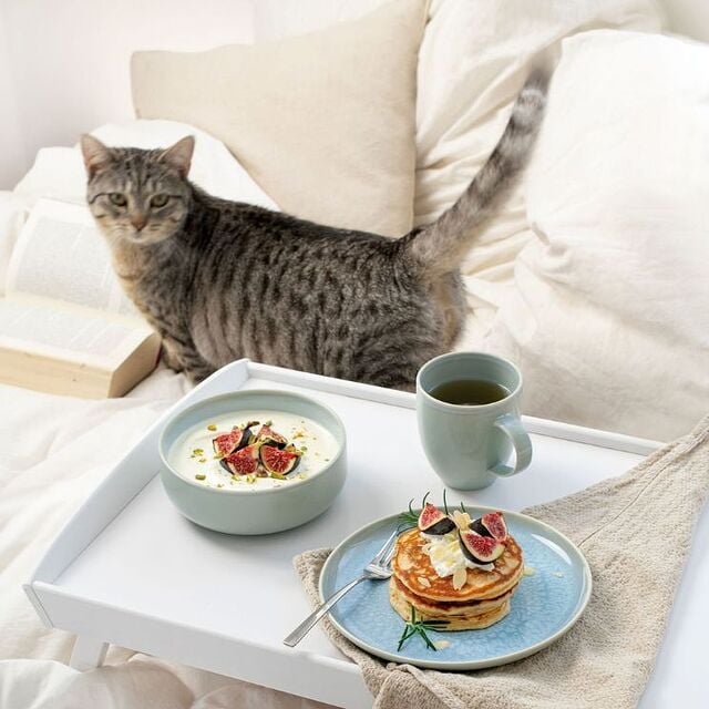 villeroy&boch dinnerware