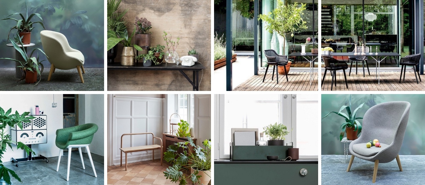 zelenilo u interijeru sobne biljke aranžman tegle cvijeće