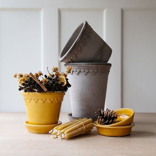 Maceta amarilla Bergspotter