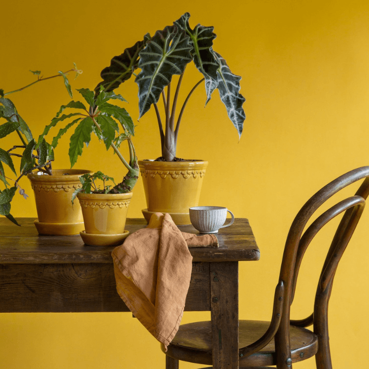 Pots jaunes Bergs Potter