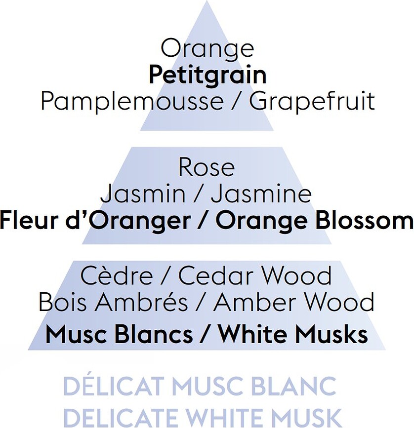 Fragancia para Lámpara Catalítica Delicate White Musk, 500 ml