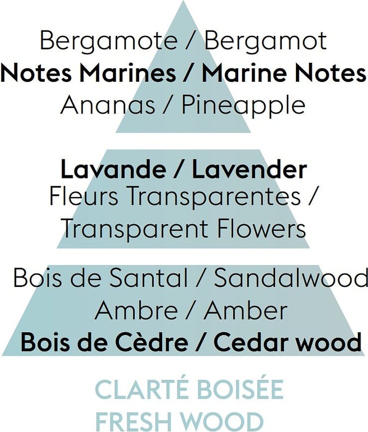 Fresh Wood Recharge de Parfum pour lampe catalytique, 500 ml