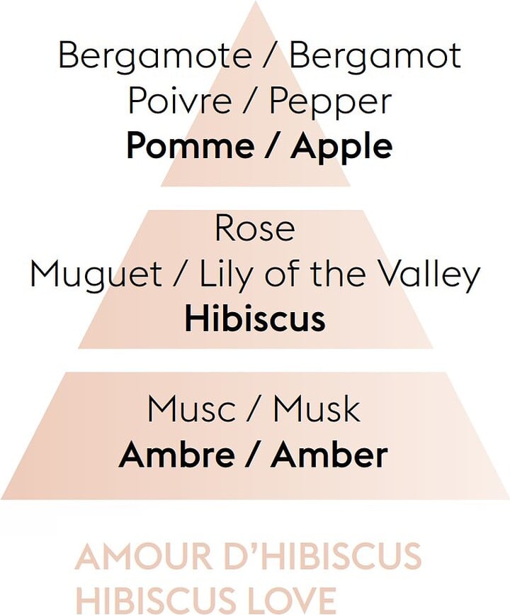 Hibiscus Love Parfum pour Lampe Catalytique, 500 ml