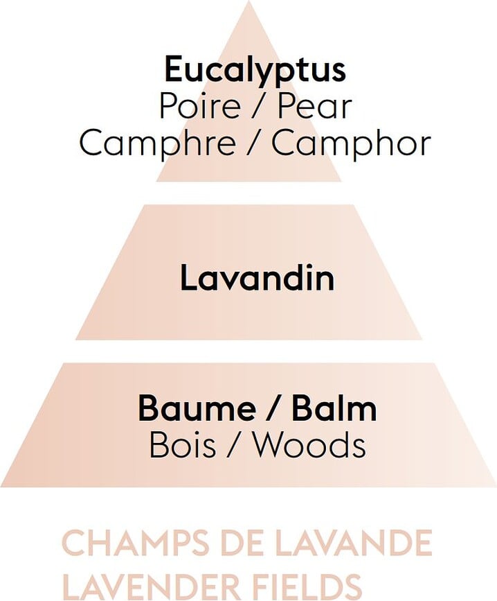 Lavender Field Parfum pour Lampe Catalytique, 500 ml