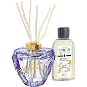 Lolita Premium Fragrance diffuser violet